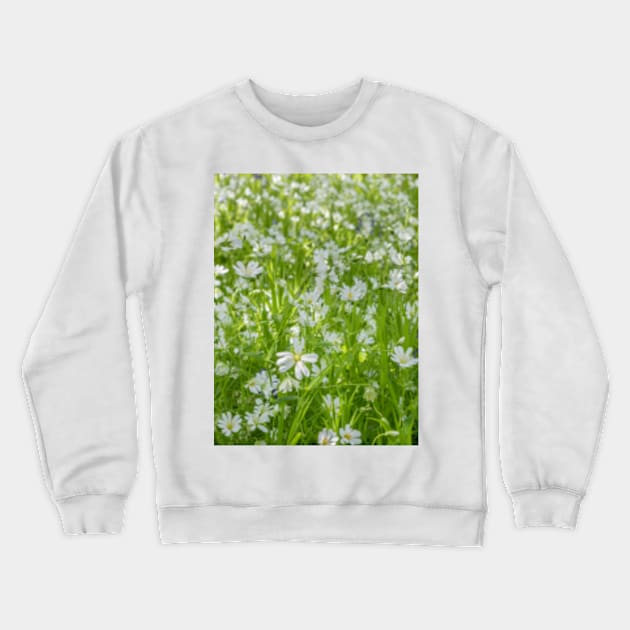 Wild Woodland Anenome Crewneck Sweatshirt by Femaleform